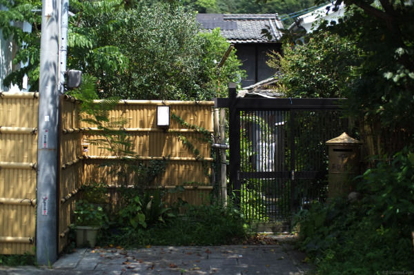 tak1408_Takehara08.jpg